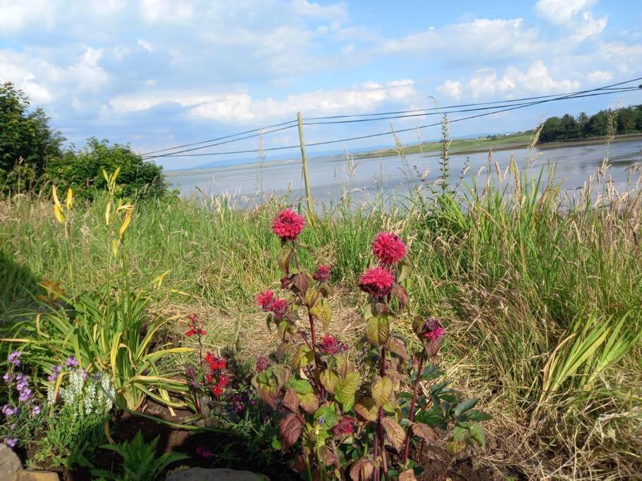 2 Quay Road, Killala. Stunning Sea Front Cottage Bagian luar foto